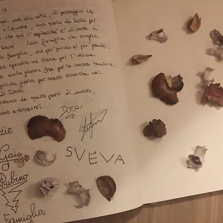 Cascina Sagrestia Отель типа 